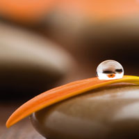 Lymphdrainage